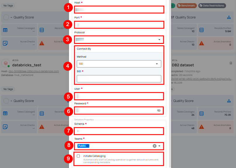 add-datasource-details